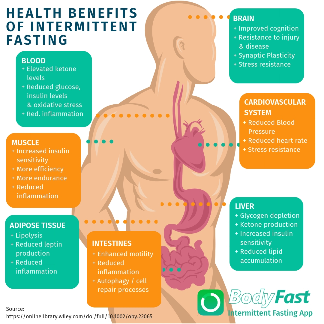 Health benefits of intermittent fasting - BodyFast info graphic
