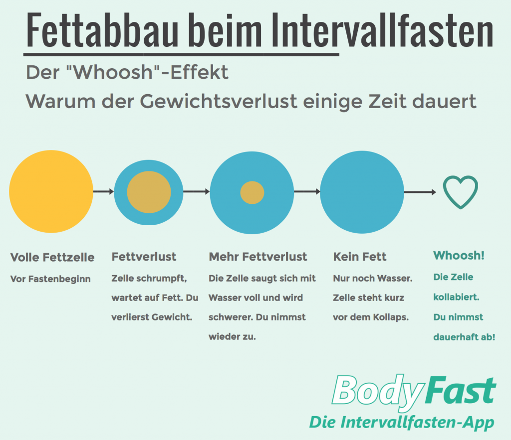 Fettabbau beim Intervallfasten - BodyFast Infografik